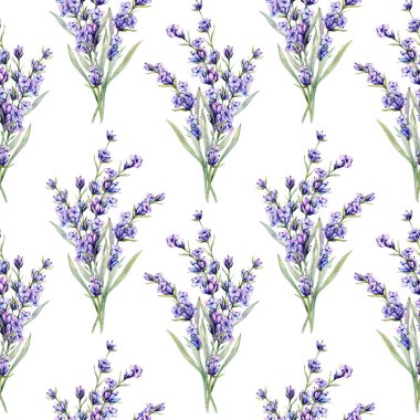 Lavanta arkaplansız arkaplan çizimi. Lavanta desenli. Menekşe lavantalı çiçek arkaplanı. Bahar Yaz Botanik Arkaplanı Duvar kağıtları, düğün, ambalaj kağıdı, tekstil