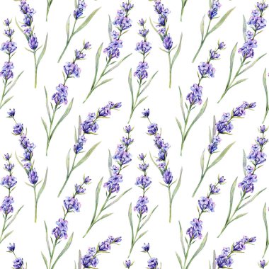 Lavanta arkaplansız arkaplan çizimi. Lavanta desenli. Menekşe lavantalı çiçek arkaplanı. Bahar Yaz Botanik Arkaplanı Duvar kağıtları, düğün, ambalaj kağıdı, tekstil