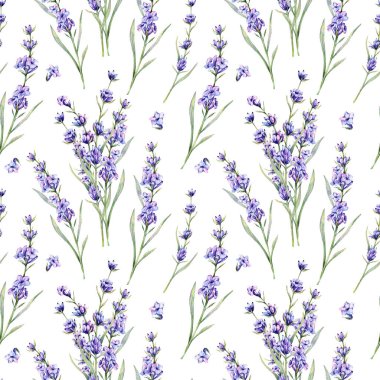 Lavanta arkaplansız arkaplan çizimi. Lavanta desenli. Menekşe lavantalı çiçek arkaplanı. Bahar Yaz Botanik Arkaplanı Duvar kağıtları, düğün, ambalaj kağıdı, tekstil