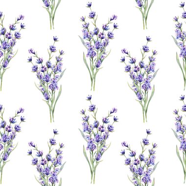 Lavanta arkaplansız arkaplan çizimi. Lavanta desenli. Menekşe lavantalı çiçek arkaplanı. Bahar Yaz Botanik Arkaplanı Duvar kağıtları, düğün, ambalaj kağıdı, tekstil