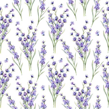 Lavanta arkaplansız arkaplan çizimi. Lavanta desenli. Menekşe lavantalı çiçek arkaplanı. Bahar Yaz Botanik Arkaplanı Duvar kağıtları, düğün, ambalaj kağıdı, tekstil