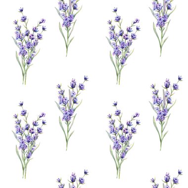Lavanta arkaplansız arkaplan çizimi. Lavanta desenli. Menekşe lavantalı çiçek arkaplanı. Bahar Yaz Botanik Arkaplanı Duvar kağıtları, düğün, ambalaj kağıdı, tekstil
