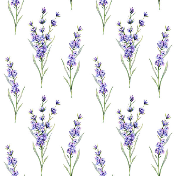 Лавандовая бесшовная фоновая иллюстрация. Лавандовый бесшовный рисунок. Цветочный фон с фиолетовой лавандой. Весенний летний ботанический фон для обоев, свадьбы, оберточной бумаги, текстиля
