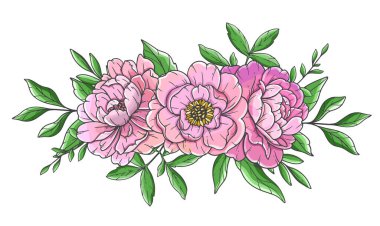 Pembe Şakayık Çizimi beyaza izole edilmiş. El yapımı Peony Buketleri. Çiçek Hattı Sanatı. Çiçek Tasarım Şablonu. El çizimi çiçekler. Şakayık Düğün çiçekleri