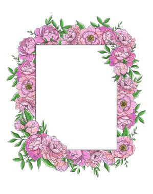 Pembe Şakayık Çizimi beyaza izole edilmiş. El yapımı Peony Buketleri. Çiçek Hattı Sanatı. Çiçek Tasarım Şablonu. El çizimi çiçekler. Şakayık Düğün çiçekleri