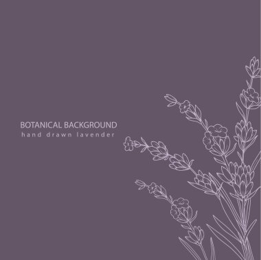 Lavanta Çizgisi Çizimi. Lavanta çizimi. El yapımı lavanta. Siyah ve beyaz çiçekler. Tek Renkli Çiçek Hattı Sanatı. Botanik boyama. Lavanta Düğünü