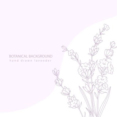 Lavanta Çizgisi Çizimi. Lavanta çizimi. El yapımı lavanta. Siyah ve beyaz çiçekler. Tek Renkli Çiçek Hattı Sanatı. Botanik boyama. Lavanta Düğünü