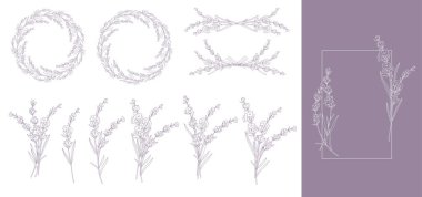 Lavanta Çizgisi Çizimi. Lavanta çizimi. El yapımı lavanta. Siyah ve beyaz çiçekler. Tek Renkli Çiçek Hattı Sanatı. Botanik boyama. Lavanta Düğünü