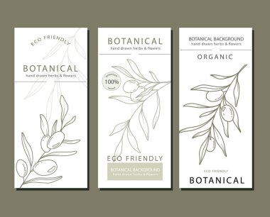 Zeytin Çizgisi Sanatı. Zeytin Etiketleri. Organik mağaza afişi. Botanik arka plan modasına uygun minimalist zeytin dalları. Zeytin sancak şablonu. Çiçek Hattı Sanat İllüstrasyonu. 
