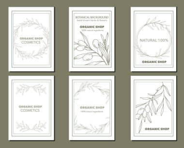 Olives Line Art. Olives Labels. Organic Shop banner. Botanical Background trendy minimalist olive branches. Olives banner template. Floral Line Art Illustration.  clipart