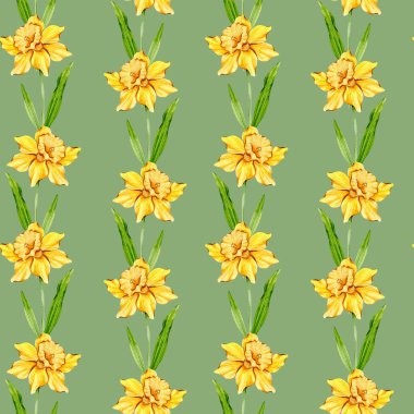 Çiçeksiz arka plan suluboya. Narcissus kusursuz desen. Narcissus 'un çiçekli geçmişi. Aralık ayı çiçeği. Bahar Yaz Botanik Arkaplanı Duvar kağıtları, düğün, ambalaj kağıdı, tekstil