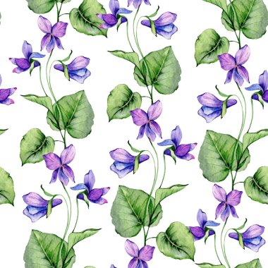 Çiçeksiz arka plan suluboya. Violet kusursuz desen. Menekşelerle çiçekli bir geçmişi var. Şubat ayı çiçeği. Duvar kağıtları, ambalaj kağıdı, tekstil için botanik arka plan