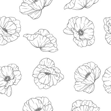 Çiçeksiz desen. Haşhaş arka planı. Çevre dostu bir geçmiş. Haşhaş çiçekleri ve yeşillik el çizimi sanat tasarımı. Zarif, pürüzsüz arka plan. Sonsuz şablon minimalist tarzı.