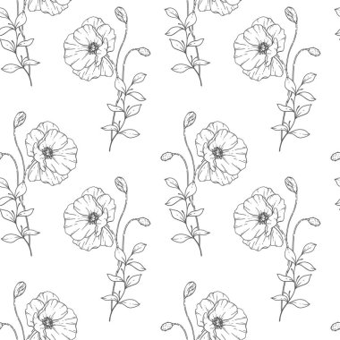 Çiçeksiz desen. Haşhaş arka planı. Çevre dostu bir geçmiş. Haşhaş çiçekleri ve yeşillik el çizimi sanat tasarımı. Zarif, pürüzsüz arka plan. Sonsuz şablon minimalist tarzı.