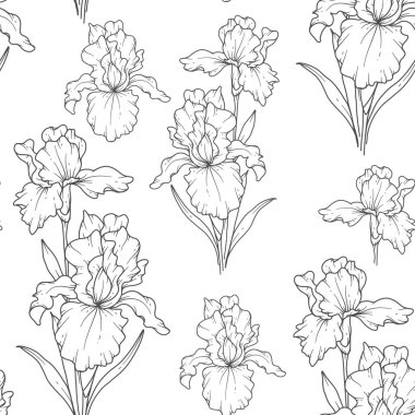 Çiçeksiz arka plan sanatı. İris deseni kusursuz. Iris 'in çiçekli geçmişi. Şubat ayı çiçek hattı sanatı. Ambalaj kağıdı, tekstil için botanik arkaplan