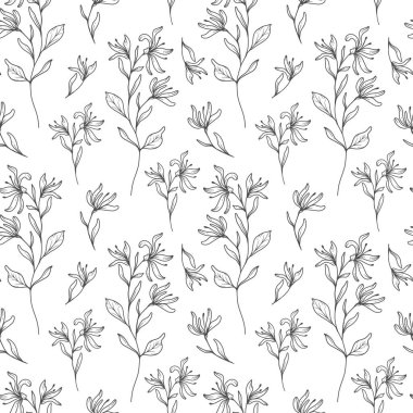 Çiçeksiz arka plan sanatı. Hanımeli pürüzsüz desen. Hanımeli 'nin çiçekli geçmişi. Haziran ayı çiçek hattı sanatı. Ambalaj kağıdı, tekstil için botanik arkaplan