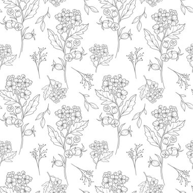 Çiçeksiz arka plan sanatı. Dikensiz Hawthorn deseni. Hawthorn 'un çiçekli geçmişi. Doğum ayı çiçek hattı sanatı. Ambalaj kağıdı, tekstil için botanik arkaplan