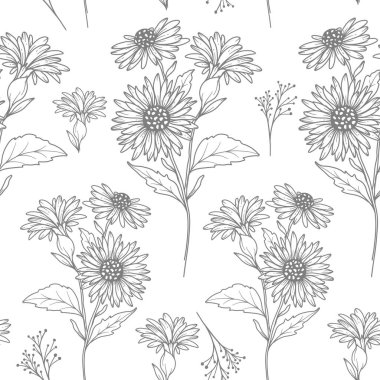 Çiçeksiz arka plan sanatı. Aster pürüzsüz desen. Asters 'ın çiçek geçmişi. Eylül ayı çiçek hattı sanatı. Ambalaj kağıdı, tekstil için botanik arkaplan
