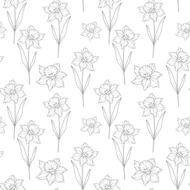 Çiçeksiz arka plan sanatı. Narcissus kusursuz desen. Narcissus 'un çiçekli geçmişi. Aralık ayı çiçek hattı sanatı. Ambalaj kağıdı, tekstil için botanik arkaplan