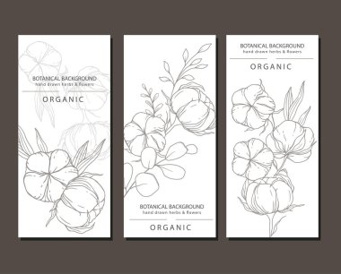 Pamuk Bitkisi İllüstrasyonu. Cotton Branch Etiket Tasarımı. % 100 pamuk, saf pamuk grafikleri. El yapımı Cotton Çiçekleri Çizgisi Sanat İllüstrasyonu. Pamuk Ana Hattı Minimalist Tasarım