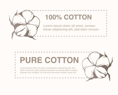 Pamuk Bitkisi İllüstrasyonu. Cotton Branch Etiket Tasarımı. % 100 pamuk, saf pamuk grafikleri. El yapımı Cotton Çiçekleri Çizgisi Sanat İllüstrasyonu. Pamuk Ana Hattı Minimalist Tasarım