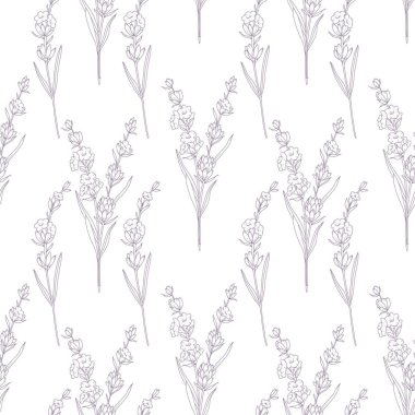 Lavanta çiçekli, pürüzsüz desen. Lavanta arkaplan. Eko arka plan. Lavantalı el çizimi sanat tasarımı. Zarif, kusursuz arka plan minimalist tarzı