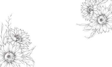 Ayçiçeği çizimi. Sunflower illüstrasyonunu özetle. El yapımı ayçiçeği arka planı. Botanik Tek Krom Çiçek Sanatı. Ayçiçeği Düğünü