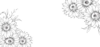Ayçiçeği çizimi. Sunflower illüstrasyonunu özetle. El yapımı ayçiçeği arka planı. Botanik Tek Krom Çiçek Sanatı. Ayçiçeği Düğünü