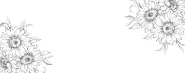 Ayçiçeği çizimi. Sunflower illüstrasyonunu özetle. El yapımı ayçiçeği arka planı. Botanik Tek Krom Çiçek Sanatı. Ayçiçeği Düğünü