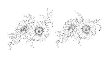 Ayçiçeği çizimi. Sunflower illüstrasyonunu özetle. El yapımı ayçiçeği arka planı. Botanik Tek Krom Çiçek Sanatı. Ayçiçeği Düğünü