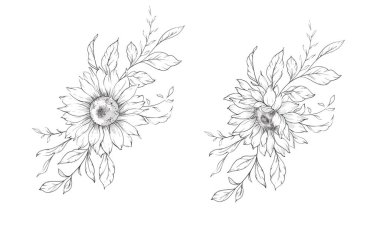 Ayçiçeği çizimi. Sunflower illüstrasyonunu özetle. El yapımı ayçiçeği arka planı. Botanik Tek Krom Çiçek Sanatı. Ayçiçeği Düğünü