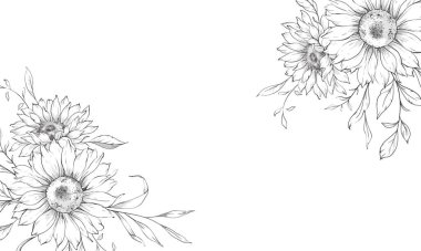 Ayçiçeği çizimi. Sunflower illüstrasyonunu özetle. El yapımı ayçiçeği arka planı. Botanik Tek Krom Çiçek Sanatı. Ayçiçeği Düğünü