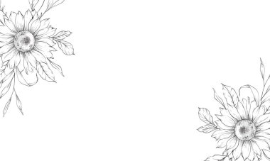 Ayçiçeği çizimi. Sunflower illüstrasyonunu özetle. El yapımı ayçiçeği arka planı. Botanik Tek Krom Çiçek Sanatı. Ayçiçeği Düğünü