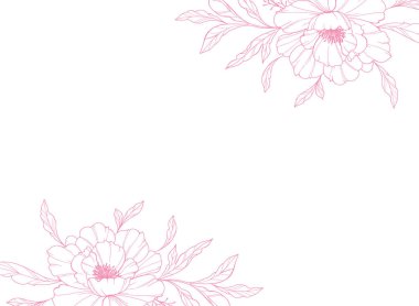 Şakayık Hattı Sanatı. Modaya uygun şakayık buketler ve çiçekler. Botanik Çizgisi Şakayık Koleksiyonu. El çizimi, şakayık çiçekleri. Lüks Çiçek Sanatı. Şakayık Özeti