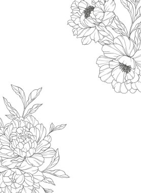 Şakayık Hattı Sanatı. Modaya uygun şakayık buketler ve çiçekler. Botanik Çizgisi Şakayık Koleksiyonu. El çizimi, şakayık çiçekleri. Lüks Çiçek Sanatı. Şakayık Özeti