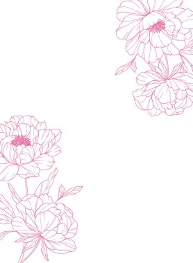 Şakayık Hattı Sanatı. Modaya uygun şakayık buketler ve çiçekler. Botanik Çizgisi Şakayık Koleksiyonu. El çizimi, şakayık çiçekleri. Lüks Çiçek Sanatı. Şakayık Özeti