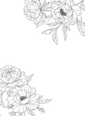 Şakayık Hattı Sanatı. Modaya uygun şakayık buketler ve çiçekler. Botanik Çizgisi Şakayık Koleksiyonu. El çizimi, şakayık çiçekleri. Lüks Çiçek Sanatı. Şakayık Özeti