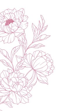 Şakayık Hattı Sanatı. Modaya uygun şakayık buketler ve çiçekler. Botanik Çizgisi Şakayık Koleksiyonu. El çizimi, şakayık çiçekleri. Lüks Çiçek Sanatı. Şakayık Özeti