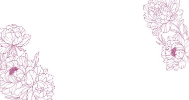 Şakayık Hattı Sanatı. Modaya uygun şakayık buketler ve çiçekler. Botanik Çizgisi Şakayık Koleksiyonu. El çizimi, şakayık çiçekleri. Lüks Çiçek Sanatı. Şakayık Özeti