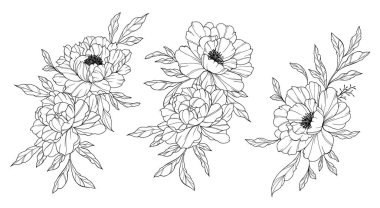 Şakayık Hattı Sanatı. Modaya uygun şakayık buketler ve çiçekler. Botanik Çizgisi Şakayık Koleksiyonu. El çizimi, şakayık çiçekleri. Lüks Çiçek Sanatı. Şakayık Özeti