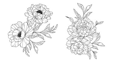 Şakayık Hattı Sanatı. Modaya uygun şakayık buketler ve çiçekler. Botanik Çizgisi Şakayık Koleksiyonu. El çizimi, şakayık çiçekleri. Lüks Çiçek Sanatı. Şakayık Özeti