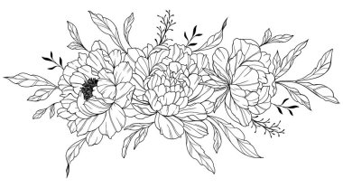 Şakayık Hattı Sanatı. Modaya uygun şakayık buketler ve çiçekler. Botanik Çizgisi Şakayık Koleksiyonu. El çizimi, şakayık çiçekleri. Lüks Çiçek Sanatı. Şakayık Özeti