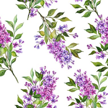 Kusursuz leylak arkaplan. Leylak desenli. Leylak dallı çiçek arkaplanı. Leylak El Suluboya Çizimi. Bahar Yaz Botanik Arkaplanı Duvar kağıtları, düğün, ambalaj kağıdı, tekstil