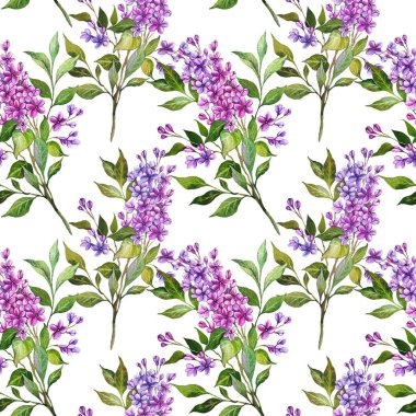 Kusursuz leylak arkaplan. Leylak desenli. Leylak dallı çiçek arkaplanı. Leylak El Suluboya Çizimi. Bahar Yaz Botanik Arkaplanı Duvar kağıtları, düğün, ambalaj kağıdı, tekstil