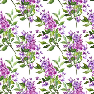 Kusursuz leylak arkaplan. Leylak desenli. Leylak dallı çiçek arkaplanı. Leylak El Suluboya Çizimi. Bahar Yaz Botanik Arkaplanı Duvar kağıtları, düğün, ambalaj kağıdı, tekstil