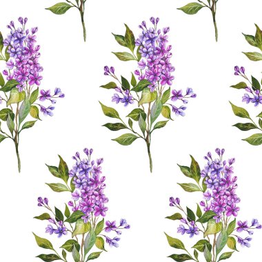 Kusursuz leylak arkaplan. Leylak desenli. Leylak dallı çiçek arkaplanı. Leylak El Suluboya Çizimi. Bahar Yaz Botanik Arkaplanı Duvar kağıtları, düğün, ambalaj kağıdı, tekstil