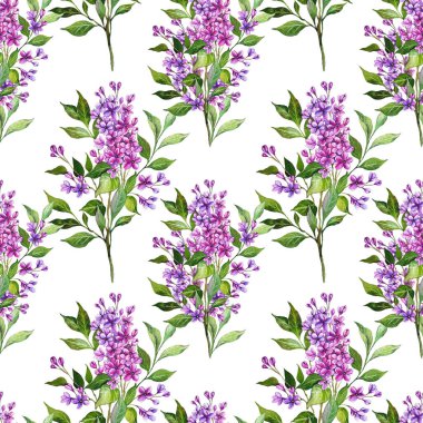 Kusursuz leylak arkaplan. Leylak desenli. Leylak dallı çiçek arkaplanı. Leylak El Suluboya Çizimi. Bahar Yaz Botanik Arkaplanı Duvar kağıtları, düğün, ambalaj kağıdı, tekstil