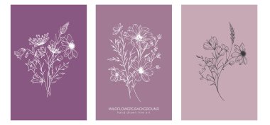 Modaya uygun kır çiçekleri ve çizgili sanat örnekleri. Botanik Çizgisi Yaban Çiçekleri Koleksiyonu. El çizimi sanat grafikleri. Lüks ince çizgi çiçek sanatı. Şık bir düğün daveti için mükemmel. 