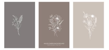 Modaya uygun kır çiçekleri ve çizgili sanat örnekleri. Botanik Çizgisi Yaban Çiçekleri Koleksiyonu. El çizimi sanat grafikleri. Lüks ince çizgi çiçek sanatı. Şık bir düğün daveti için mükemmel. 