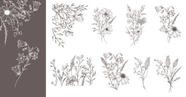 Modaya uygun kır çiçekleri ve çizgili sanat örnekleri. Botanik Çizgisi Yaban Çiçekleri Koleksiyonu. El çizimi sanat grafikleri. Lüks ince çizgi çiçek sanatı. Şık bir düğün daveti için mükemmel. 